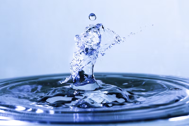 The Critical Role of Clean Water in Health and Environmental Sustainability